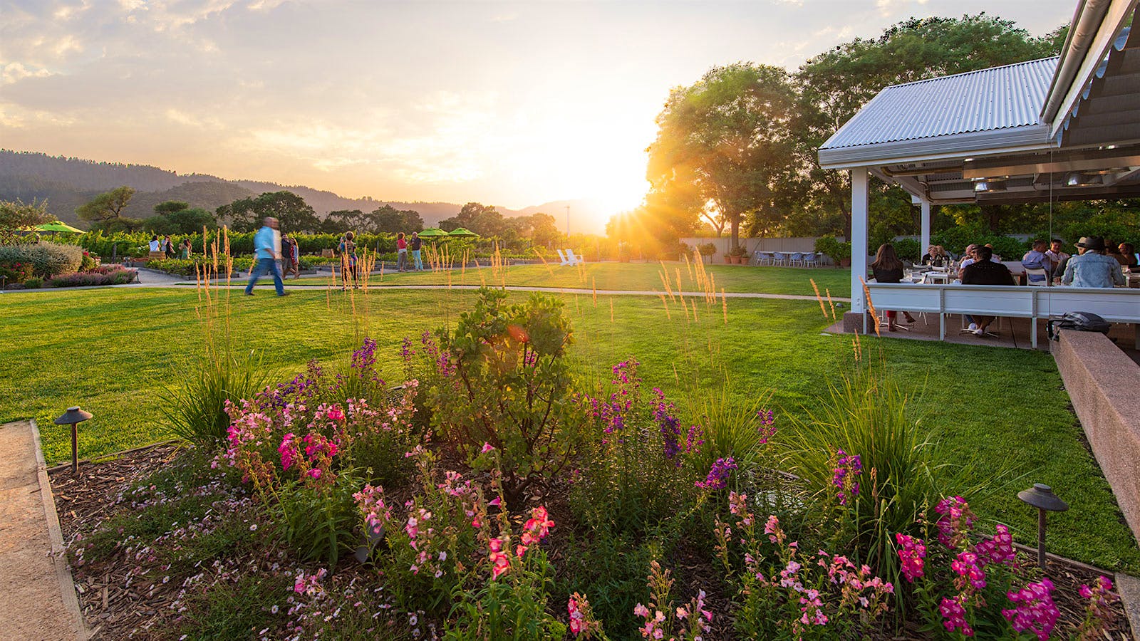 Top Farm-to-Table Restaurants in California Wine Country