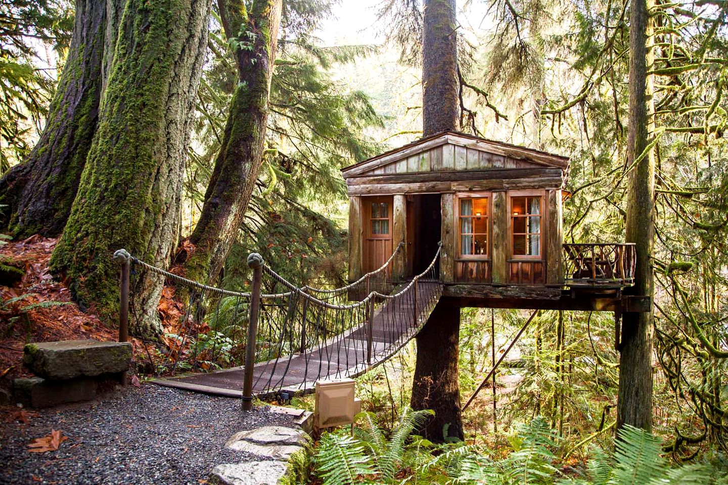 Unique Treehouse Hotels You Need to Experience for an Unforgettable Stay